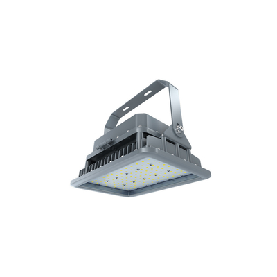 Hot Sale Λάμπα με προστασία από έκρηξη 20-400w Χημική βιομηχανία Ip66 Led Φως με προστασία από έκρηξη βενζινάδικο Φως προστασίας από έκρηξη