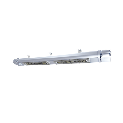Φώτα LED ATEX 20-80W με προστασία από έκρηξη Χημική βιομηχανία IP66
