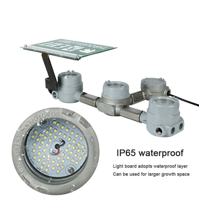 Αδιάβροχο βενζινάδικο 3-6W LED Exit Emergency Light Chemical Industry IP66