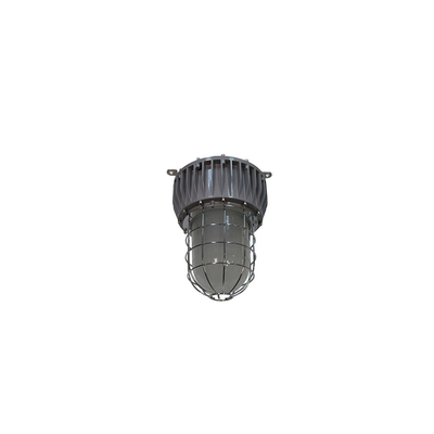 ATEX 40-100W Αντιεκρηκτικά LED High Bay Lights IP66