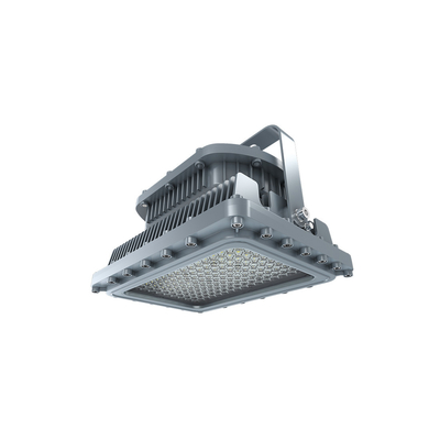 Βιομηχανικό φως Led με προστασία από έκρηξη IP66 αδιάβροχο περίβλημα αλουμινίου Ik10 από ανοξείδωτο ατσάλι Στήριγμα στήριξης ΣΕΙΡΑ D